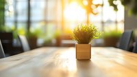 Small decorative plant in wooden pot on wooden table with warm sunlight streaming through window, creating cozy atmosphere in modern office space.