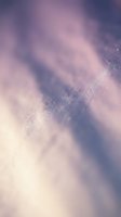 Soft focus abstract background with lavender and cream tones, featuring delicate particle effects and dreamy light diffusion. Suitable for wellness, spa, and design overlays.