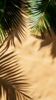 Palm leaves casting natural shadows on beige wall, creating tropical minimalist composition with dramatic light and dark contrast. Suitable for lifestyle designs.