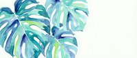 Watercolor tropical monstera leaves in blue and green tones on white background. Hand drawn botanical illustration for interior design and decoration projects.