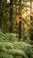 Fresh green fern leaves in focus with blurred forest background creating peaceful natural atmosphere for wellness and outdoor lifestyle content.
