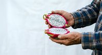 Farmer holding fresh cut dragon fruit halves with white flesh and small black seeds, wearing plaid shirt against white background.