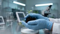 Scientist in blue gloves holding green plant seedling with soil in modern laboratory for biotechnology research and environmental science studies.