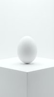 Single white egg standing upright on minimalist white cube platform against clean neutral background for modern design concepts.