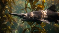 Leopard shark swimming gracefully through golden kelp forest underwater in natural marine habitat. Wildlife conservation and ocean biodiversity concept.
