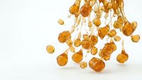 Dried physalis fruits with papery husks hanging on stems against white background, isolated botanical element for design projects.