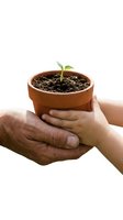 Adult and child hands protectively holding terracotta pot with green seedling sprout growing from soil on white background for environmental concepts.