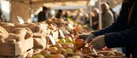 Fresh organic apples being selected by customer at bustling farmers market with wooden crates and warm autumn sunlight creating cozy shopping atmosphere.