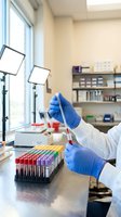 Laboratory technician in blue gloves handling test tube with pipette in modern medical research facility with colorful sample collection for scientific analysis.