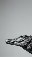 Crocodile head profile in black and white showing detailed scales and teeth against neutral background for wildlife photography and nature designs.