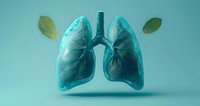 Anatomically detailed turquoise human lungs with bronchi floating against mint background with green leaves, perfect for medical education and healthcare presentations.