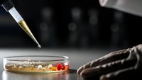 Professional chef using tweezers to plate gourmet dish with precise garnish placement in modern restaurant kitchen for culinary presentation.