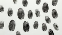 Fingerprints scattered on white background, isolated forensic evidence pattern for criminal investigation, security, identity verification, law enforcement design projects.
