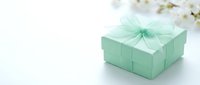 Mint green gift box with sheer ribbon bow on white background with soft floral elements, perfect for special occasions and celebrations.