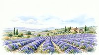 Watercolor lavender field landscape with farmhouse, cypress trees, and rolling hills under a cloudy sky, isolated on white background.