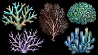 Coral reef organisms isolated on transparent background, ready for clipart, t-shirt design, stickers, print-on-demand products and sublimation projects.