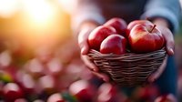 Hands holding wicker basket with fresh red apples at sunset, warm golden light creating bokeh effect in orchard background.