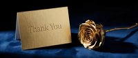 Elegant gold thank you card beside a golden rose on luxurious blue velvet, conveying gratitude, appreciation, and celebration.