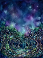 Enchanted forest with glowing trees and magical starry night sky above, featuring bioluminescent flora and mystical atmosphere for fantasy and supernatural designs.
