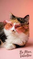 Adorable calico kitten wearing pink heart-shaped sunglasses on coral background for Valentine's Day celebration and romantic holiday greeting cards.