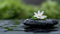 White lotus flower on wet black spa stone with water drops against blurred green nature background, creating zen and wellness atmosphere.