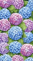 Colorful hydrangea flowers seamless pattern with pink blue purple blooms and green leaves for fabric textile wallpaper design repeating floral background.
