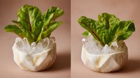 Fresh green lettuce growing from crystal quartz cluster in white ceramic bowl against brown background, modern home gardening and spiritual concept.