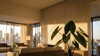 Modern apartment living room with large tropical plant and city view through floor-to-ceiling windows during golden hour sunset lighting for interior design.