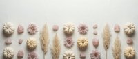 Autumn flat lay with pampas grass, decorative pumpkins and pink flowers arranged on neutral background for seasonal design projects.