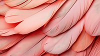 Delicate coral pink feathers in macro view creating soft layered texture and abstract pattern, gentle curves and overlapping shapes in living coral color palette.