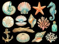 Nautical sea shells starfish seahorse anchor coral and driftwood collection isolated on transparent background. Ready for t-shirt designs, clipart, stickers, print-on-demand products and sublimation projects.