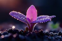 Delicate pink and purple flower sprout covered in morning dew drops against dark background, creating magical macro nature photography effect with bokeh lights.