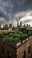 Urban rooftop garden with vegetable plants and herbs overlooking city skyline during dramatic storm clouds and golden sunset light, suitable for sustainable living and agriculture concepts.