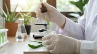 Scientist in white lab coat and latex gloves extracting green gel from aloe vera leaf over petri dishes in laboratory setting with plants and equipment.