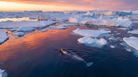 Aerial view of a whale surfacing in icy polar waters during golden hour sunrise, surrounded by floating icebergs and pack ice in Arctic ocean landscape.