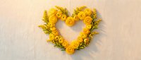 Heart-shaped arrangement of bright yellow ranunculus flowers on neutral beige background for romantic wedding decoration and love celebration designs.