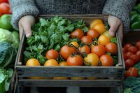 Fresh ripe tomatoes and herbs in rustic wooden box held by hands in gray sweater. Natural organic produce from local farm harvest against dark background.