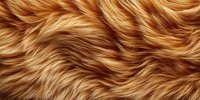 Luxurious golden brown fur texture with wavy pattern creates natural animal hair background. Soft and fluffy surface with flowing lines suitable for design projects.