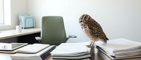 Small brown owl perched on stack of papers in modern office workspace with green chair and desk supplies creating whimsical business concept.