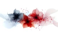 Watercolor hibiscus flowers in red and gray tones with paint splatters on white background for tropical design projects and floral artwork.