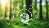 Glass sphere with green forest reflection surrounded by eco-friendly icons on natural leaf background representing environmental sustainability and conservation.