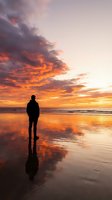 Silhouetted figure standing on wet beach sand at sunset, gazing at dramatic orange and golden sky with vibrant clouds reflecting in water below. Perfect for contemplation and travel themes.