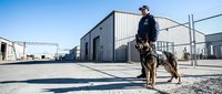 Male security guard with trained German Shepherd dog patrolling industrial warehouse facility on sunny day for professional safety and protection services.