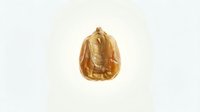 Single walnut half shell isolated on white background showing natural texture and golden brown color for healthy food and nutrition concepts.