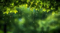 Fresh green leaves frame falling rain drops against blurred natural background, creating magical atmosphere with bokeh light effects and water droplets.