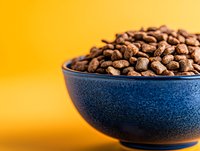 Dry pet food kibble in blue ceramic bowl on bright yellow background, suitable for pet care marketing and animal nutrition content.