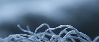 Delicate white fiber strands creating abstract organic patterns against soft blurred background for textile and material design applications.