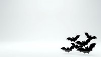 Silhouettes of flying bats isolated on white background, suitable for Halloween designs, clipart, t-shirts, and spooky themed graphics.