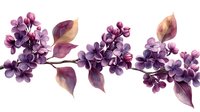 Delicate purple lilac branch with burgundy leaves in watercolor style, floral arrangement on white background for spring and wedding design elements.