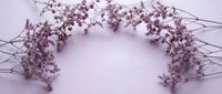 Delicate dried lavender flowers arranged in circular wreath formation on soft purple background for spa wellness and aromatherapy decoration projects.